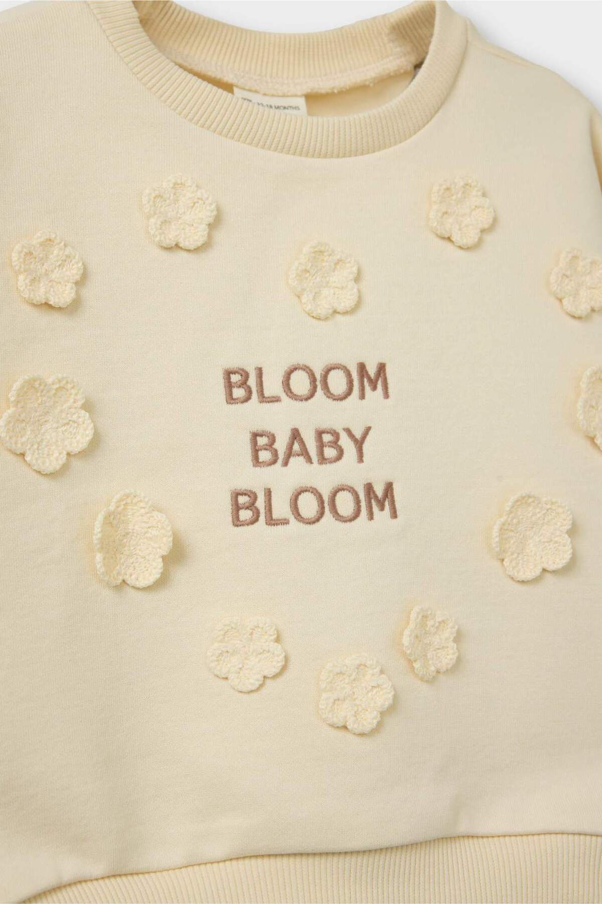 Defacto Oversize Geniş Kalıp Bisiklet Yaka Çiçekli Nakışlı İçi Yumuşak Tüylü Sweatshirt Kız Bebek G6837A525C fotoğrafı 4 (önizleme)