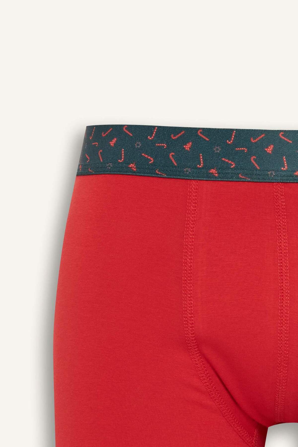 Defacto  Regular Fit 3'lü Boxer F9946AX25WN - Görsel 4