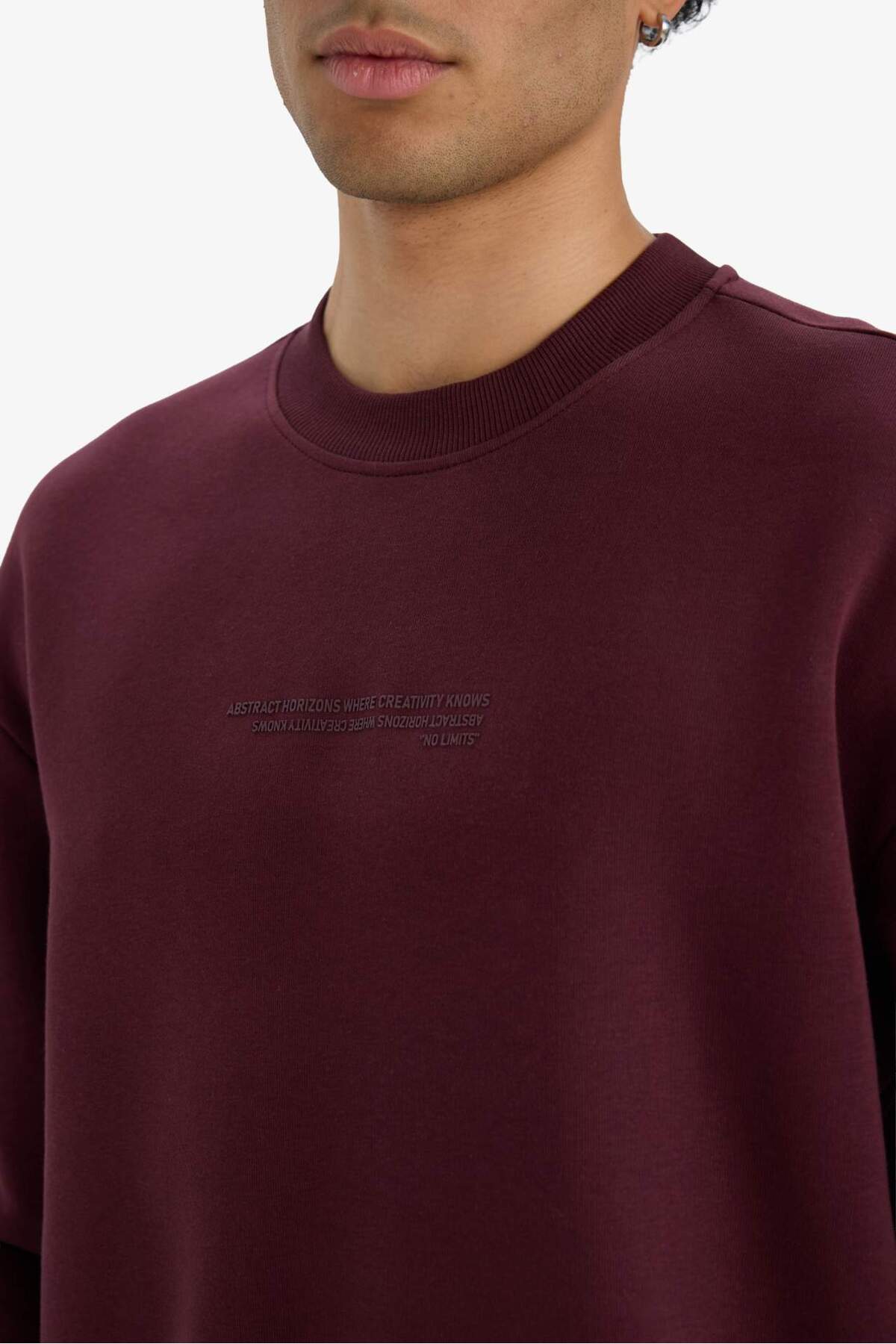 DeFacto Boxy Fit Bisiklet Yaka İçi Yumuşak Tüylü Baskılı Sweatshirt X8282AZ25AU görsel 5