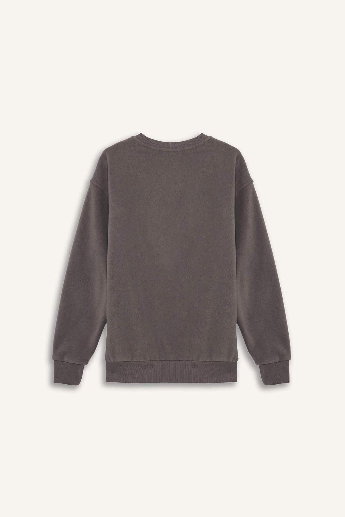 Defacto  Relax Fıt Bisiklet Yaka Polar Sweatshirt F3685AX25WN - Görsel 6