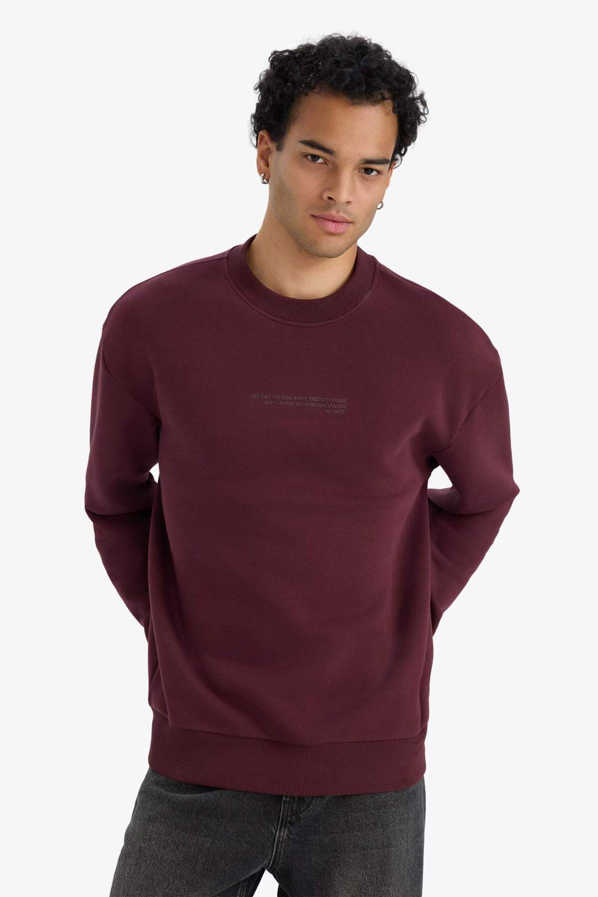 DeFacto Boxy Fit Bisiklet Yaka İçi Yumuşak Tüylü Baskılı Sweatshirt X8282AZ25AU görsel 3