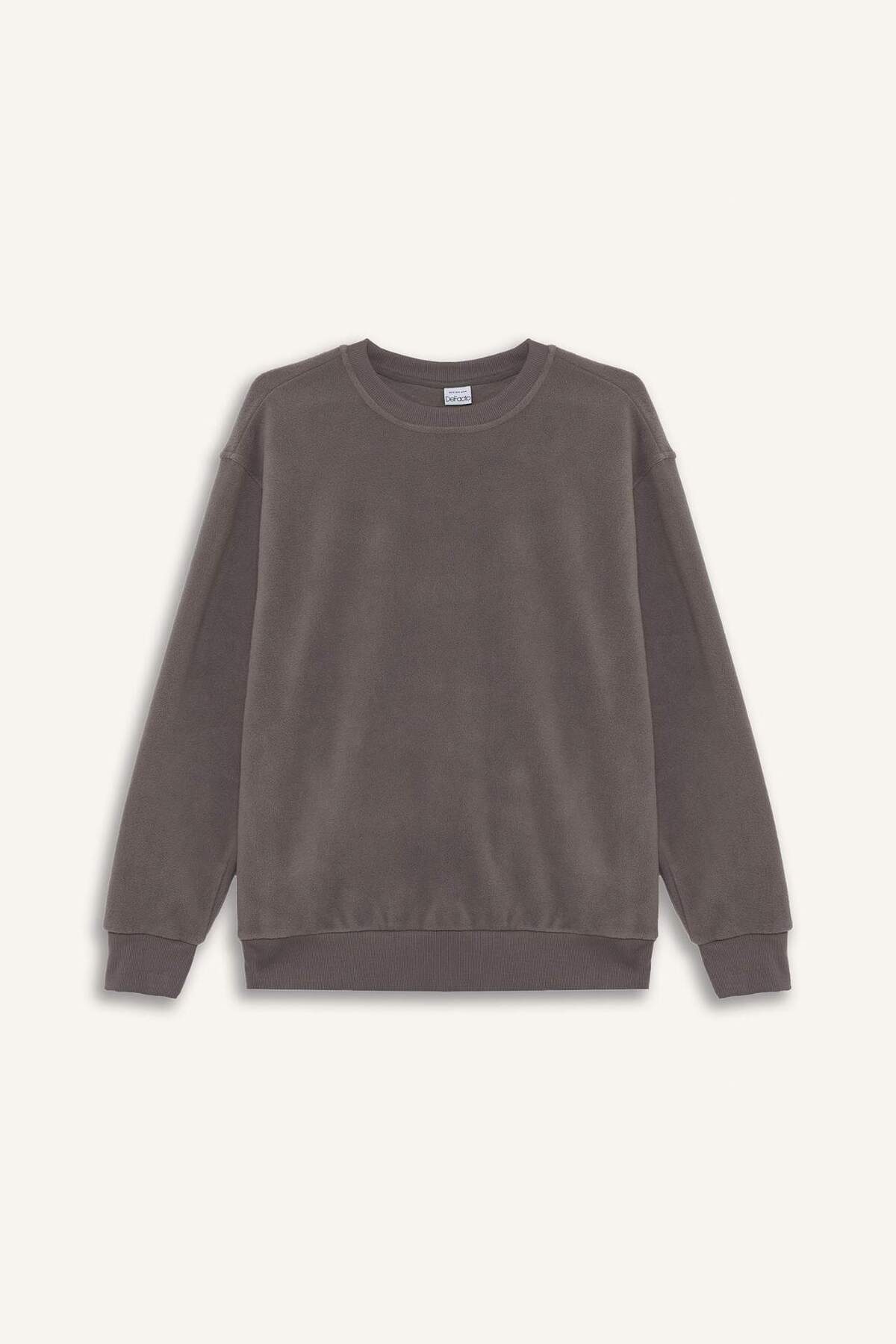 Defacto  Relax Fıt Bisiklet Yaka Polar Sweatshirt F3685AX25WN - Görsel 4