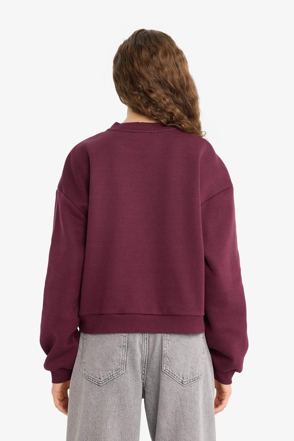 Defacto  Regular Fit Bisiklet Yaka Kalın Basic Düz Sweatshirt D6645AX25WN - Görsel 6