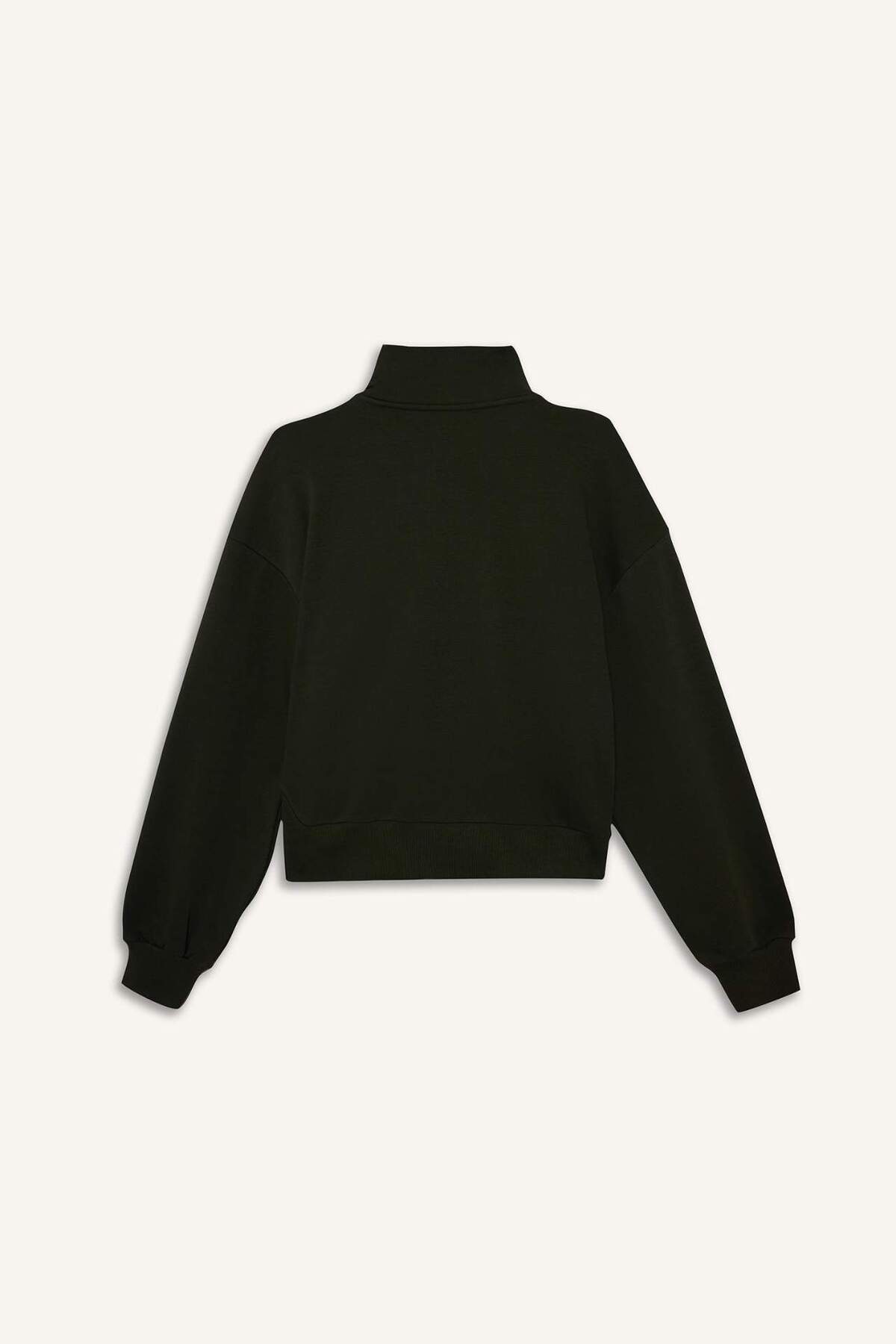 Defacto  Basıc Fermuarlı Hırka F7107AX25AU - Görsel 6