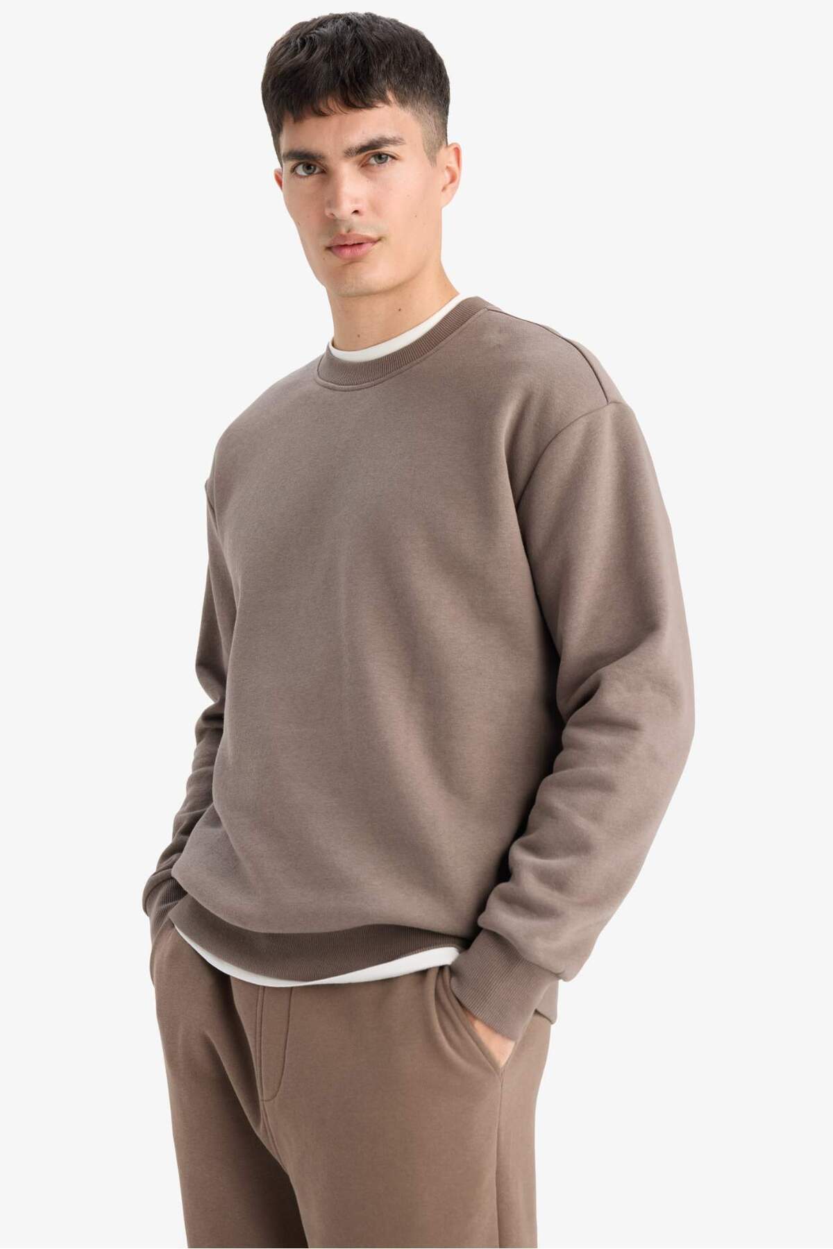 DeFacto Relax Fit Bisiklet Yaka Kalın İçi Yumuşak Tüylü Basic Düz Sweatshirt T5139AZ25AU görsel 4