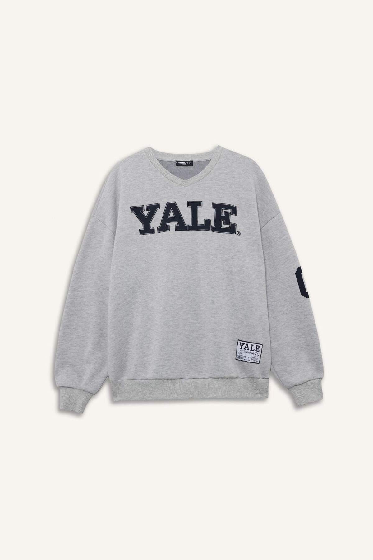 Defacto  Yale University Oversize Geniş Kalıp Bisiklet Yaka Sweatshirt F9527AX25AU - Görsel 4