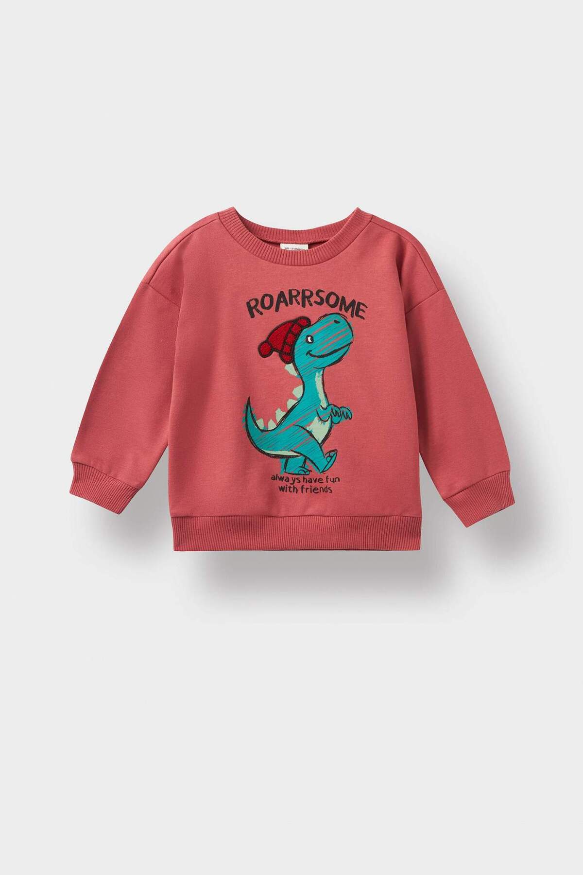 Defacto Bisiklet Yaka Dinozor Baskılı İçi Yumuşak Tüylü Sweatshirt Erkek Bebek F4531A525AU fotoğrafı 4 (önizleme)