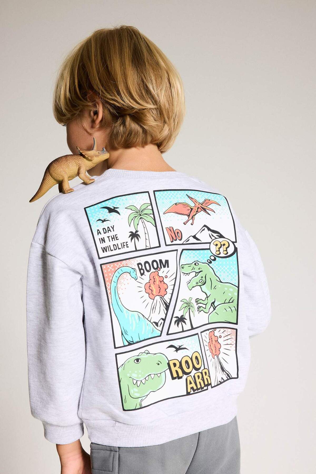 Crew Neck Dinosaur Printed Soft Feathered Sweatshirt Baby Boy F5020A525AU