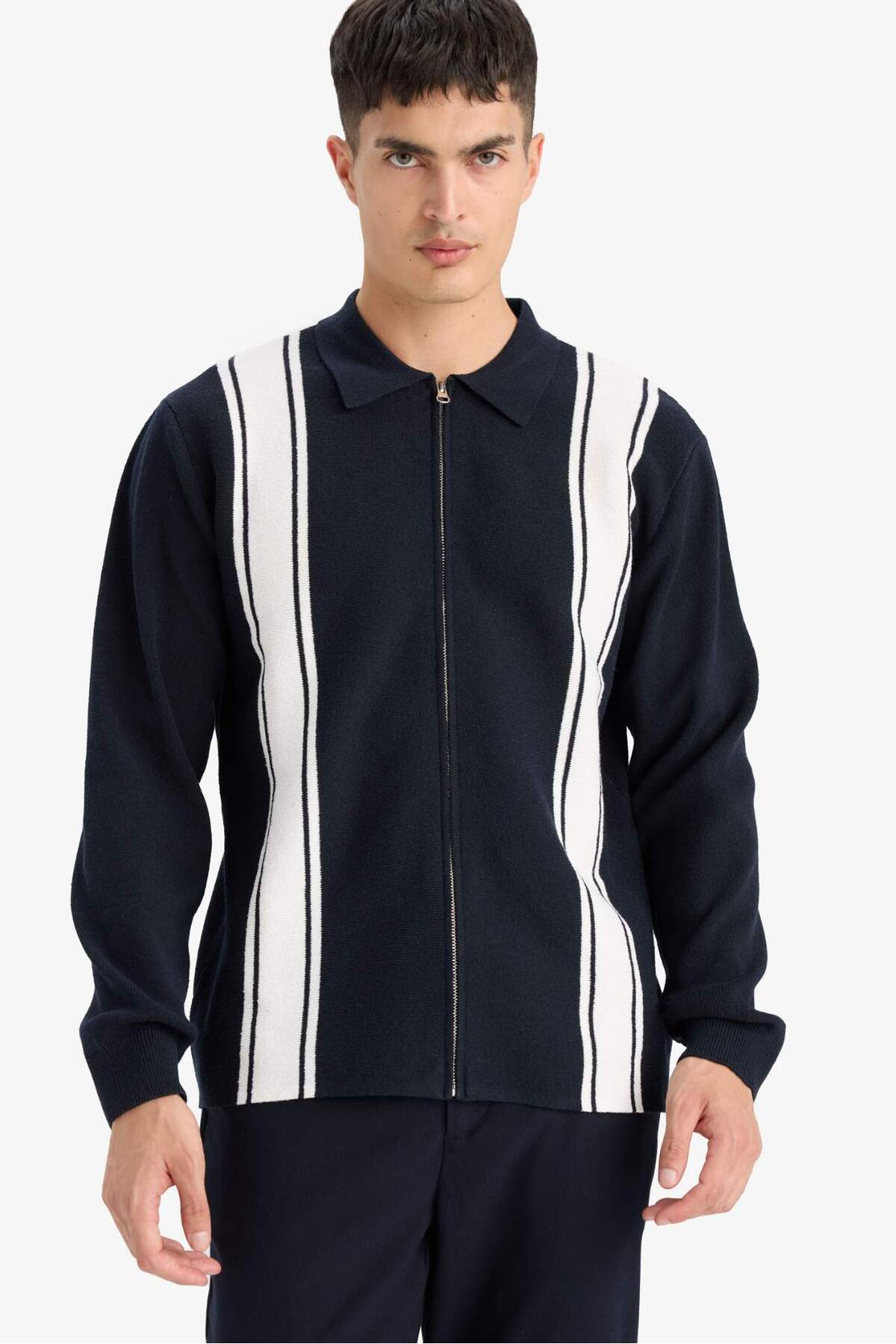 DeFacto Standart Fit Polo Yaka Fermuarlı Çizgili Triko Hırka F4981AX25AU görsel 3