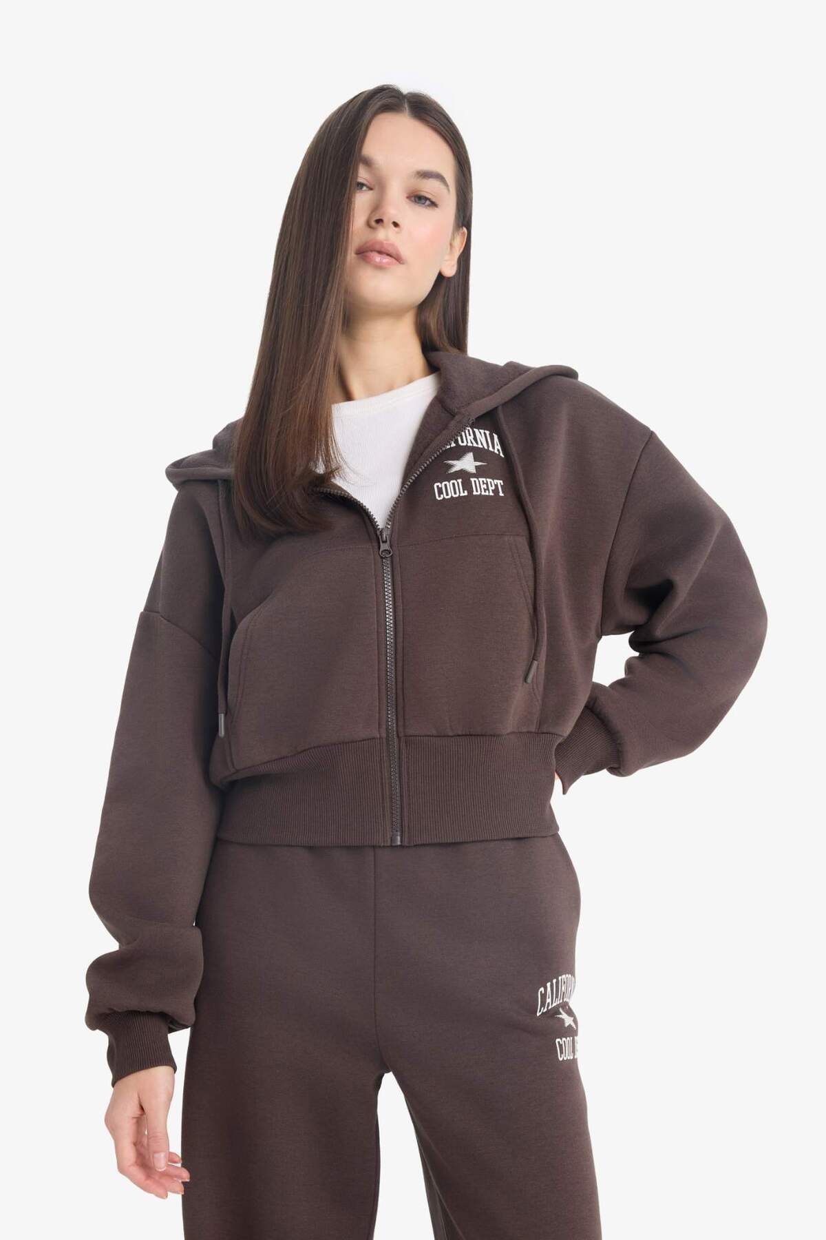 DeFacto Oversize Geniş Kalıp Kapüşonlu Sırt Baskılı Fermuarlı Sweatshirt E9583AX25WN görsel 3