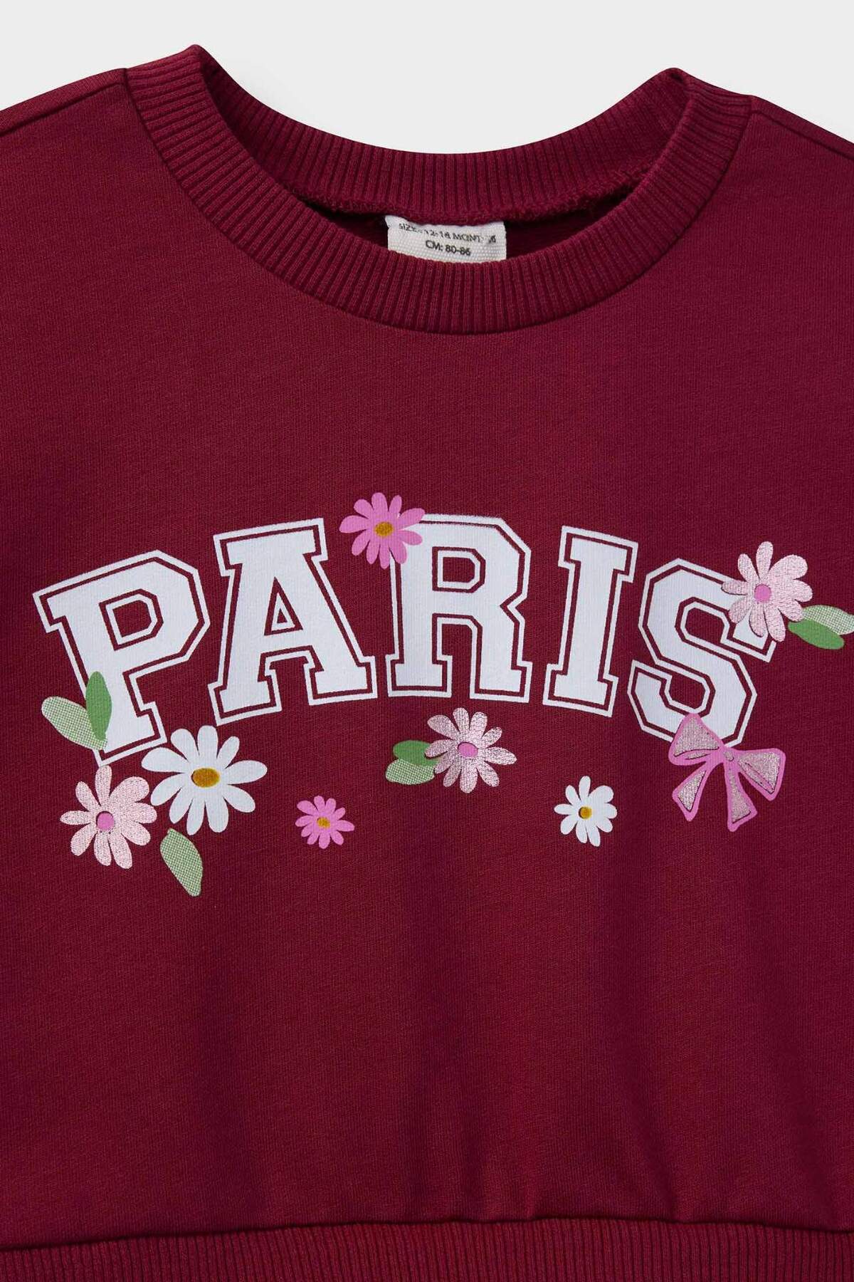 Defacto Baskılı Okul Uzun Kollu Tül Elbise Kız Bebek F3774A525AU fotoğrafı 2 (önizleme)