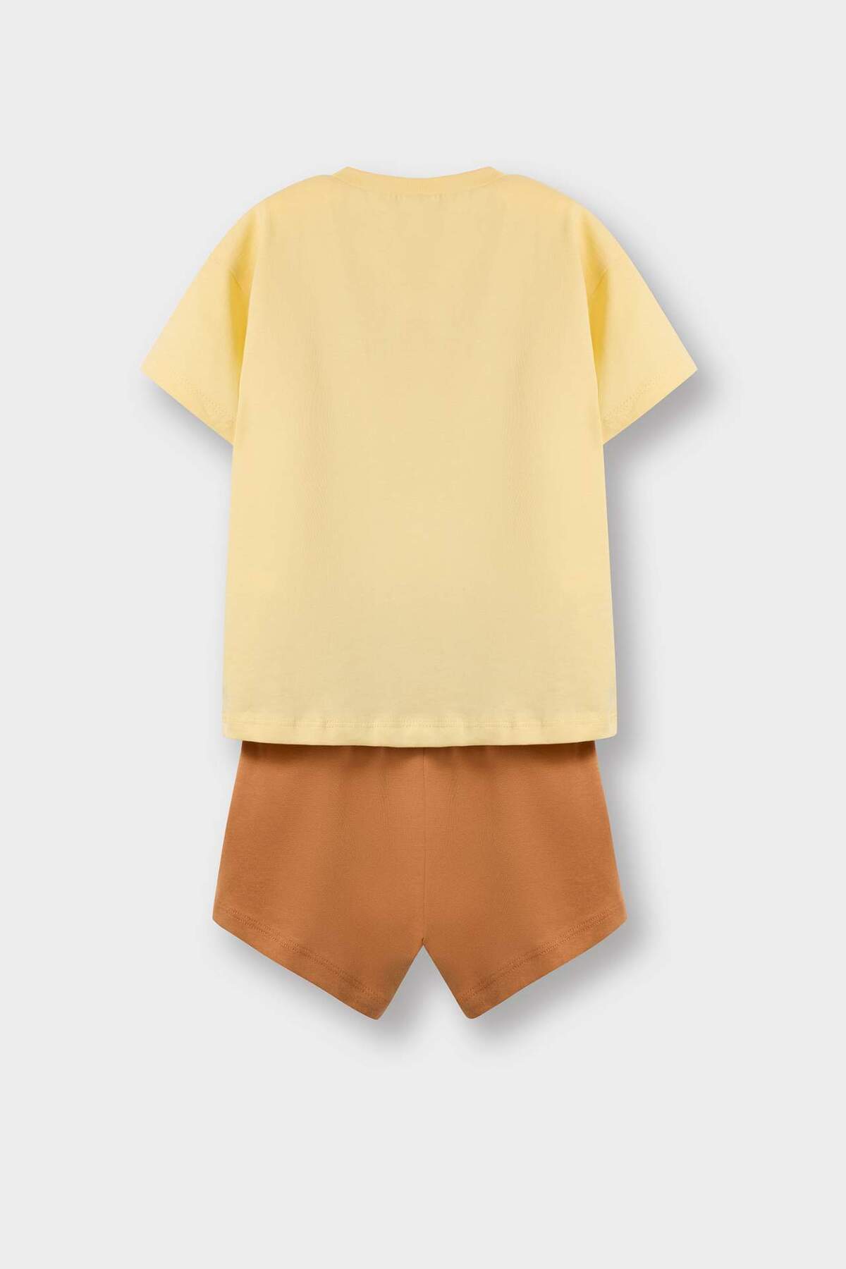 Defacto 2'li Takım Aslan Baskılı Kısa Kollu Tişört Beli Lastikli Şort Erkek Bebek E1183A525SM fotoğrafı 4 (önizleme)