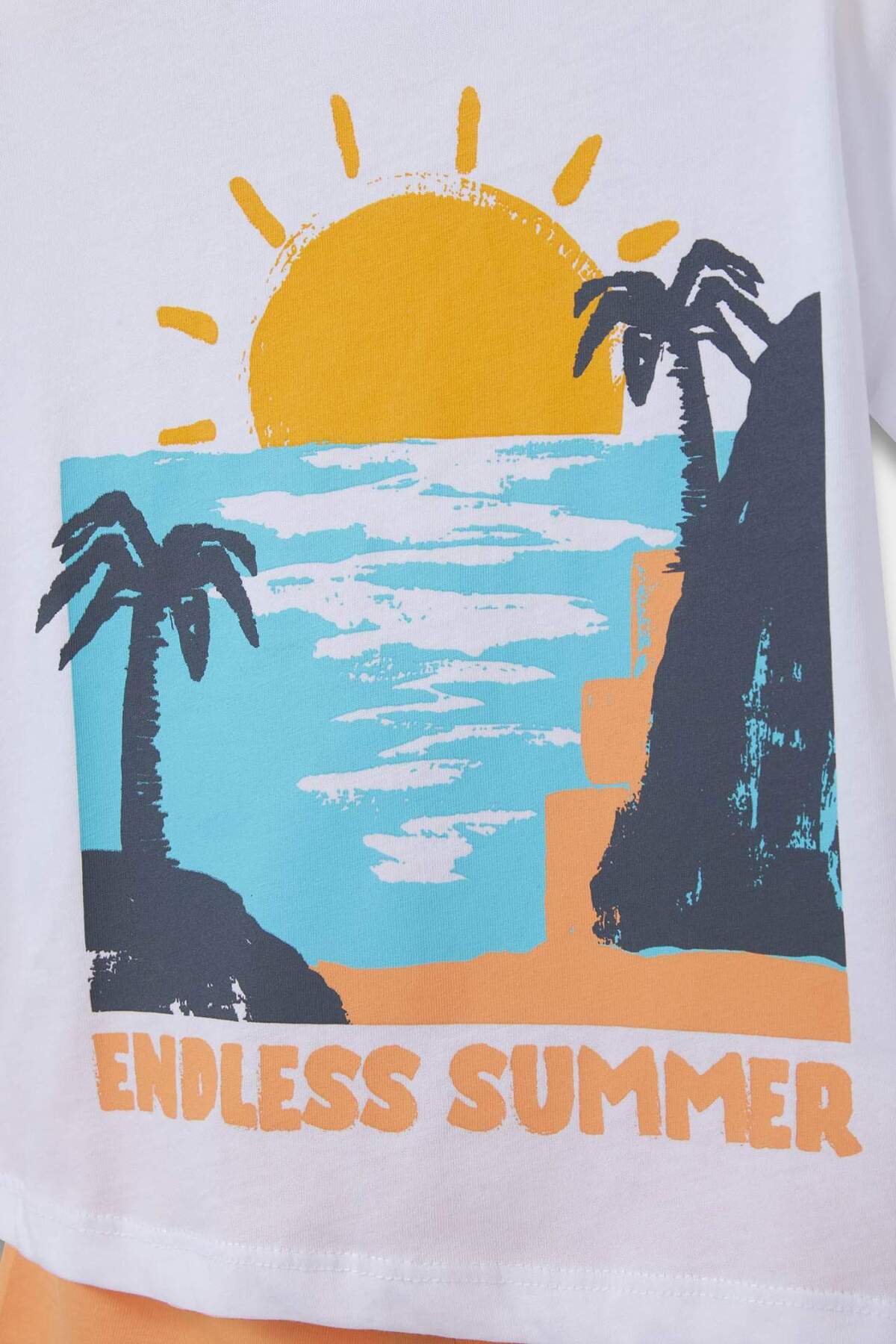 Defacto 2'li Takım Palmiye Baskılı Kısa Kollu Tişört Beli Lastikli Şort Erkek Bebek E6832A525SM fotoğrafı 3 (önizleme)