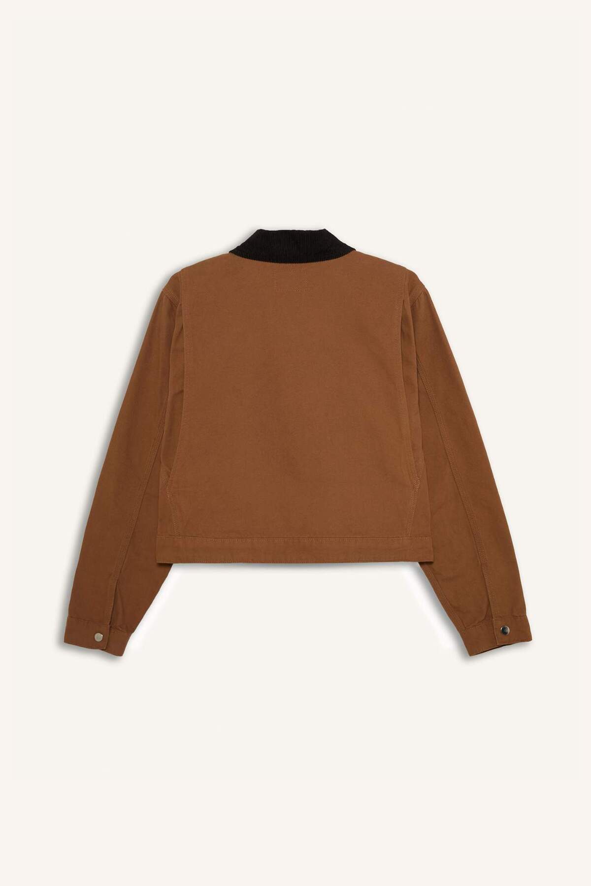 Defacto  %100 Pamuk Regular Fıt Kontrast Yakalı Fermuarlı Cepli Ceket Mont E6260AX25SP - Görsel 7