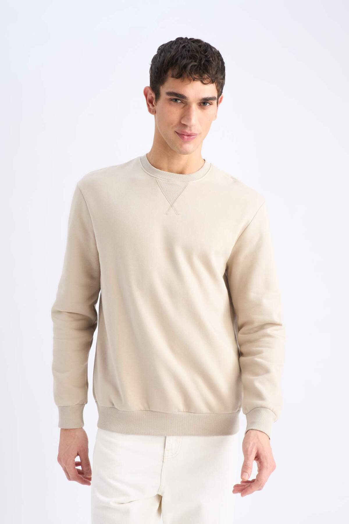 DeFacto Regular Fit Bisiklet Yaka Kalın Basic Düz Sweatshirt T3777AZ25SP görsel 4