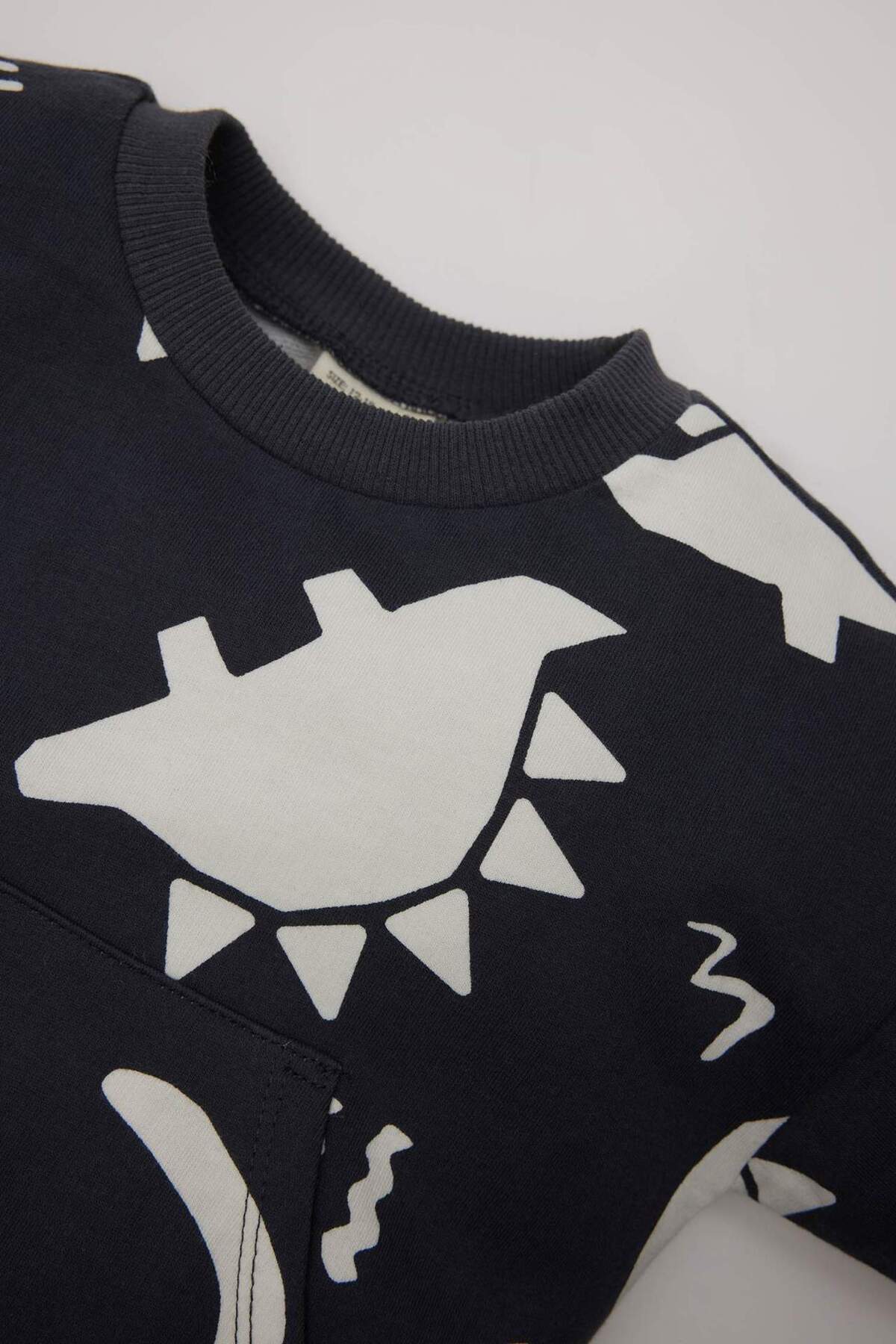 Defacto Erkek Bebek 2li Takım Dinozor Baskılı Sweatshirt Beli Lastikli Eşofman Altı E0674A524WN fotoğrafı 3 (önizleme)