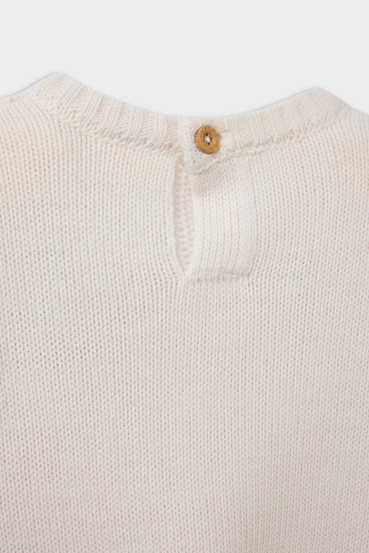 Defacto Erkek Bebek Bisiklet Yaka Baskılı Triko Kazak A3851A524AU fotoğrafı 4 (önizleme)