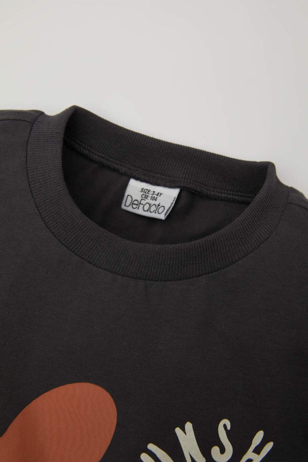 Defacto Erkek Bebek Baskılı Kısa Kollu Tişört Şort 2li Takım C1001A524SM fotoğrafı 3 (önizleme)