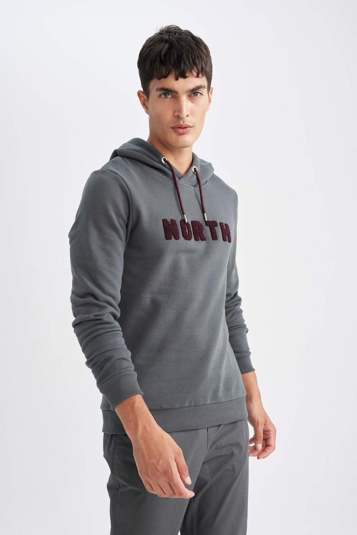 Defacto  Regular Fit Kapüşonlu Baskılı Kalın Sweatshirt L5850AZ22AU - Görsel 4