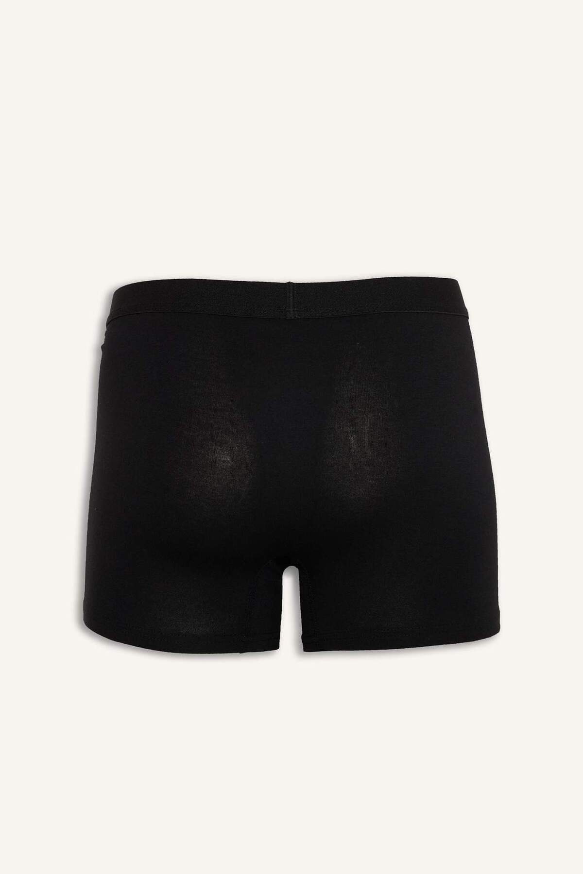 Defacto  Regular Fit 3'lü Boxer N4277AZ21SP - Görsel 3