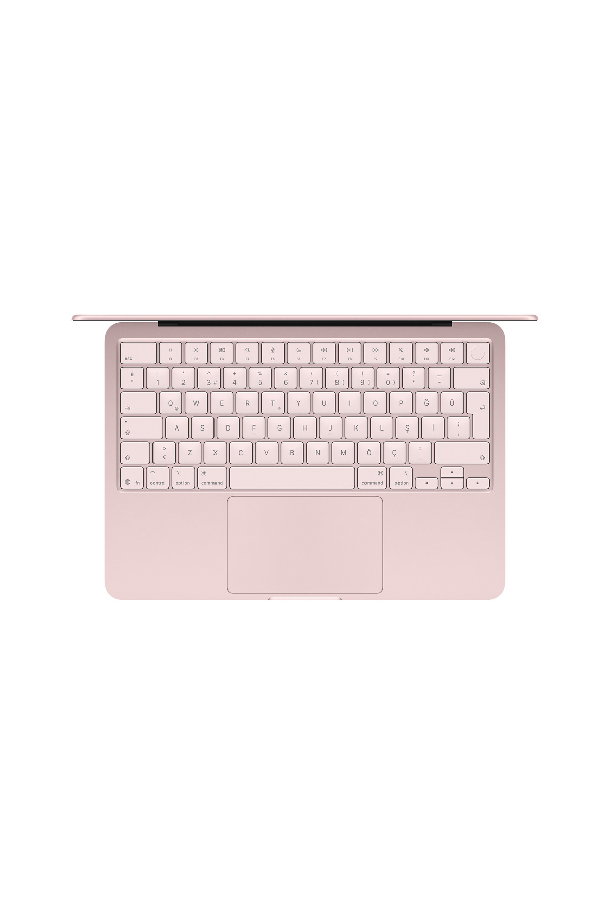 Apple 13