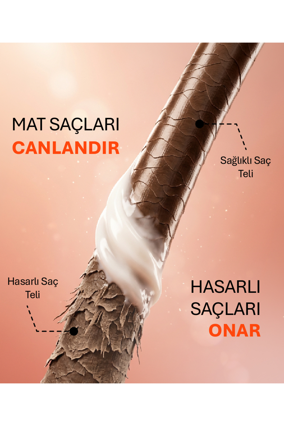 Yıpranmış Saçlara Özel Besleyici Yoğun Onarıcı Saç Kurtarma Bakım Maskesi 200 ml — AJ.02.00013 — تصویر 4 از 7