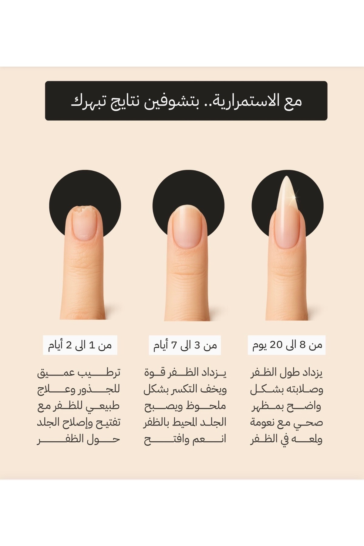 زيت الواحات