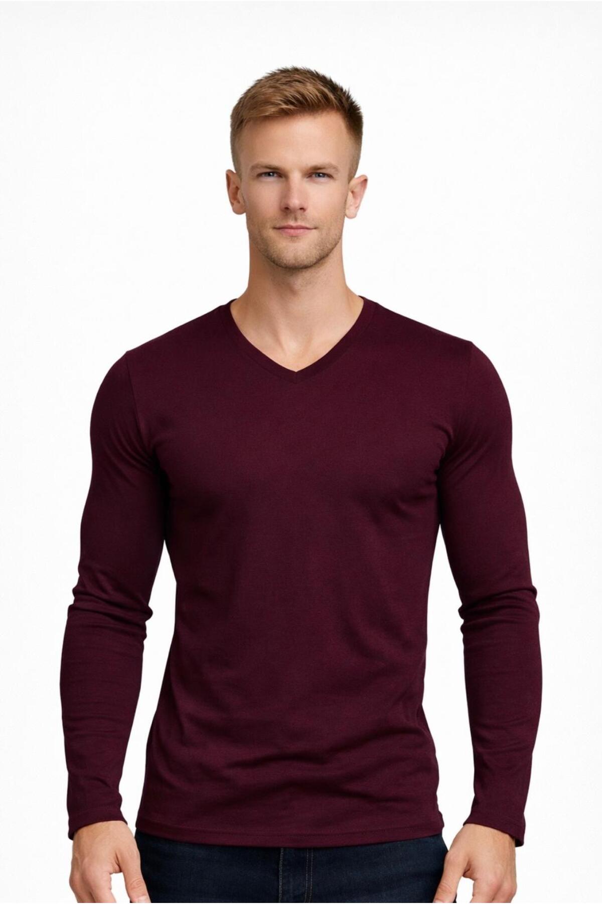 Men's Dark Damson Cotton Lycra Single Jersey Long Sleeve T-shirt-D236