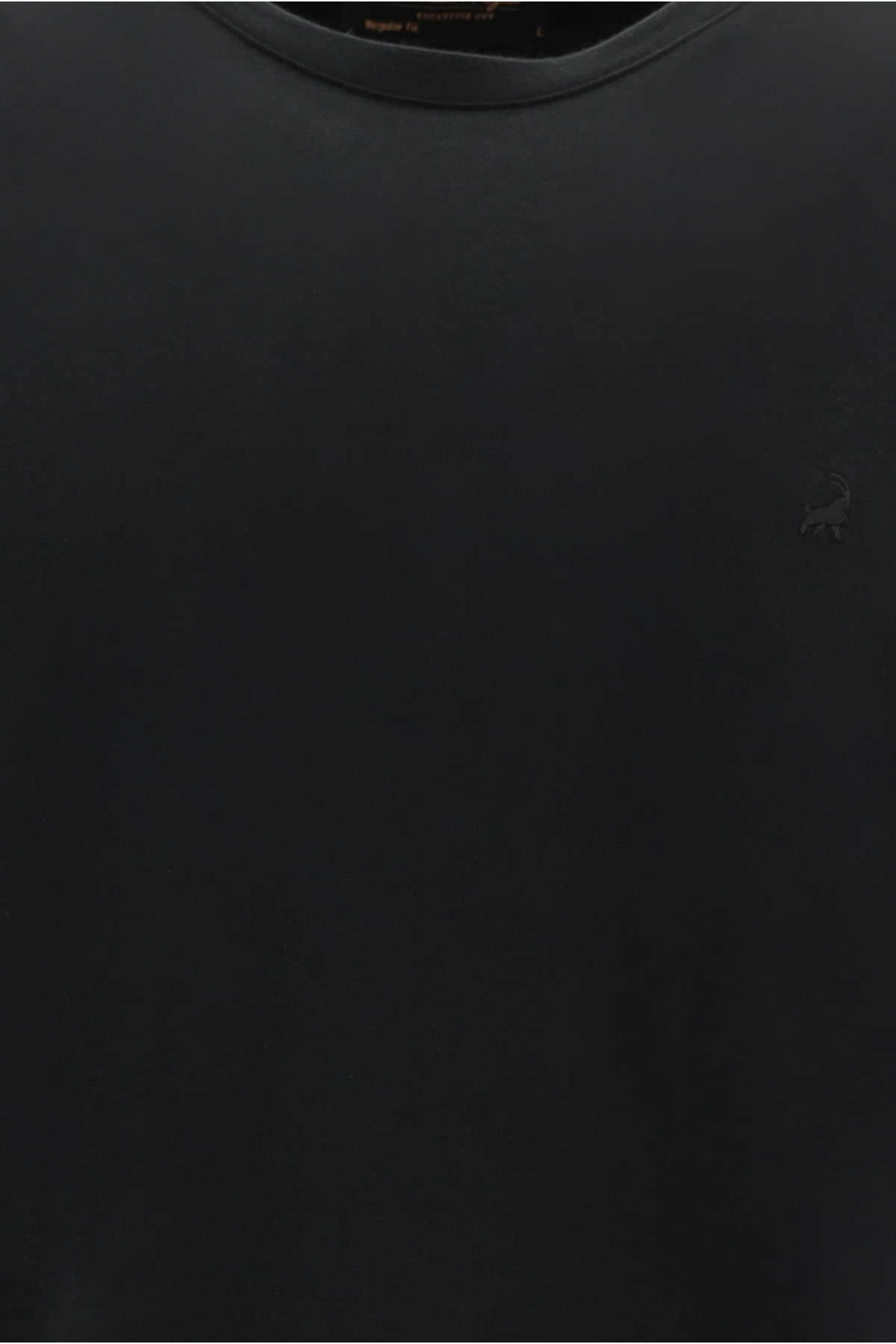 Abdullah Kiğılı  Bisiklet Yaka Regular Fit Nakışlı Pamuk Sweatshirt - Görsel 2