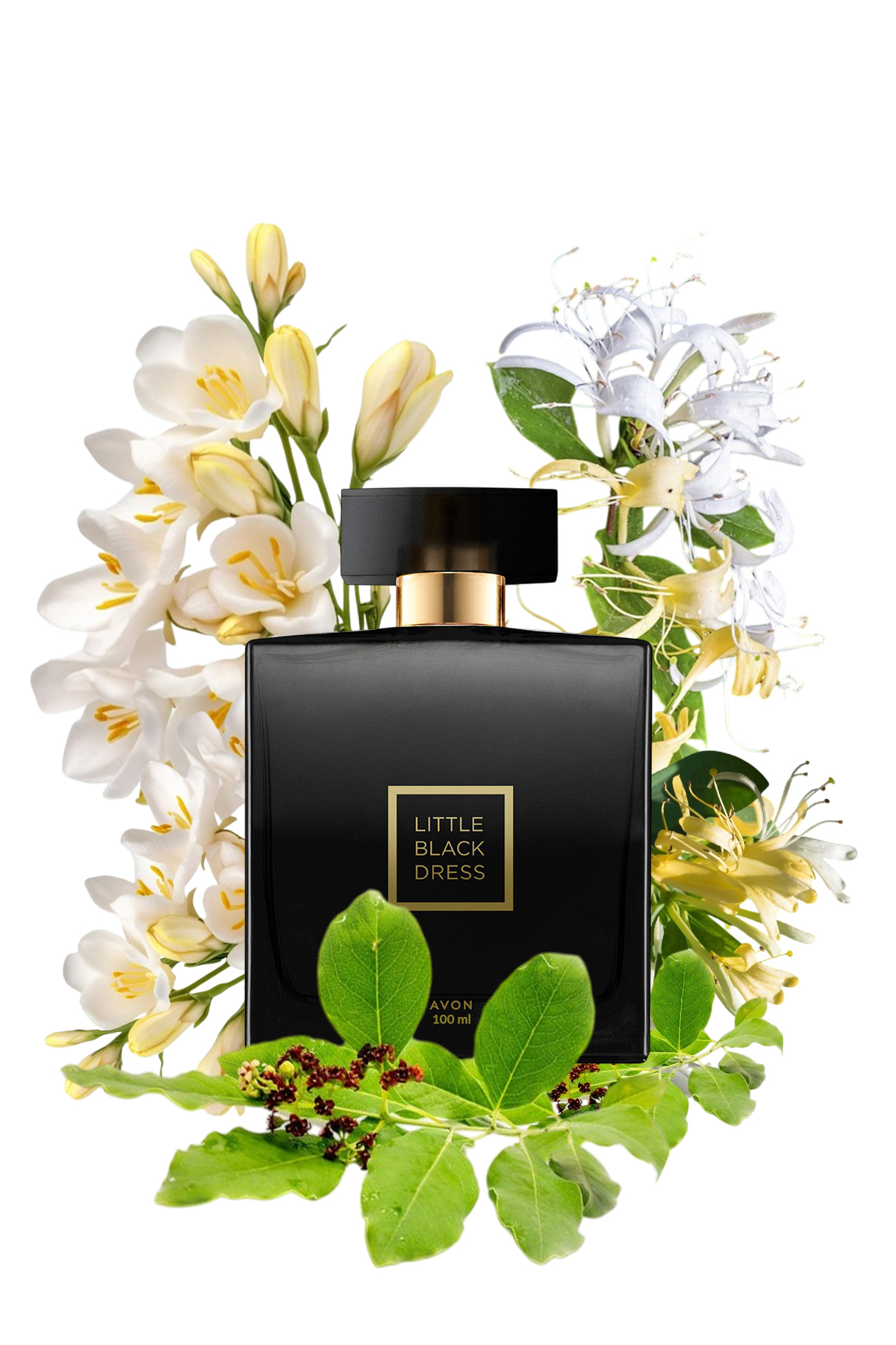 Little Black Dress Kadın Parfüm Krem Paketi — MPACK1671 — تصویر 2 از 4