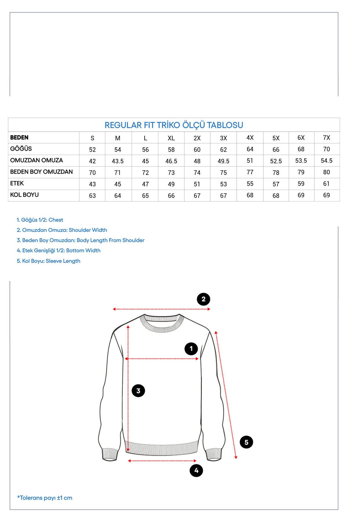Kiğılı  Bisiklet Yaka Regular Fit Yünlü Desenli Triko Kazak - Görsel 7