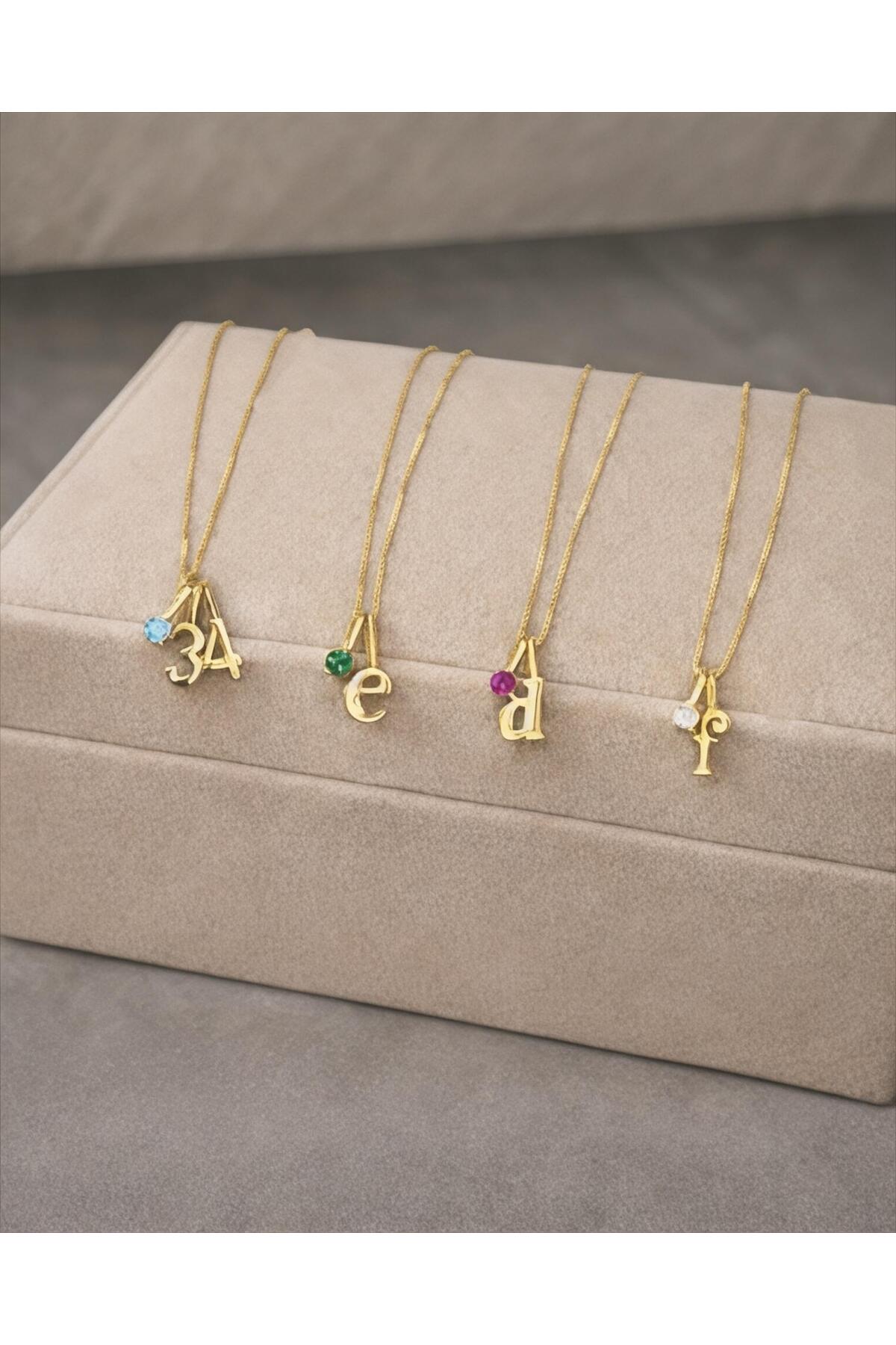 sirius jewelry 925 Gümüş | Işıltılı Doğum Taşlı Harf Kolye görsel 4