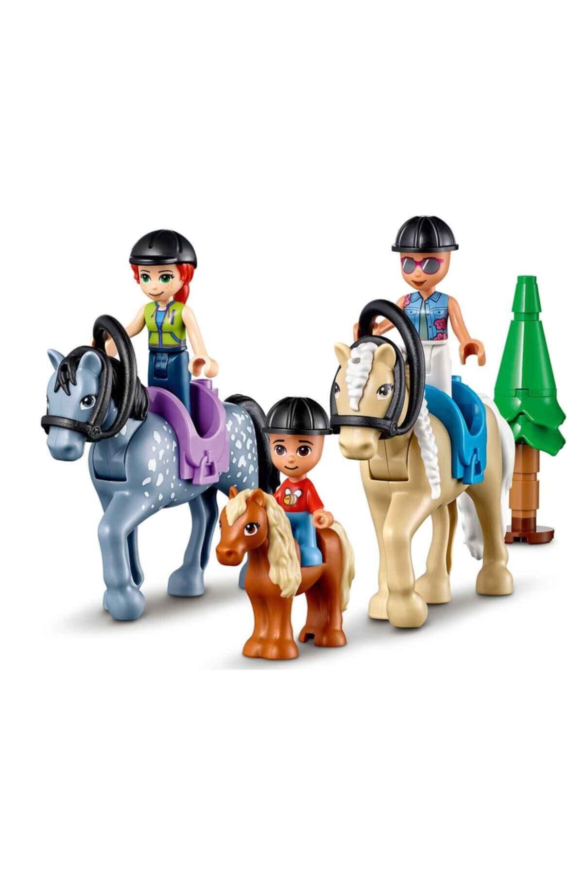 مرکز سوارکاری فرندز فارست ۴۱۶۸۳