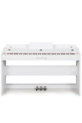 Piyano 187