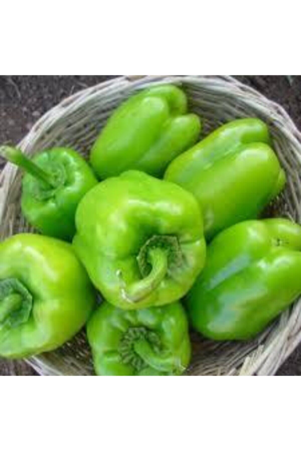 Перец Долма Купить Семена