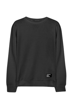 Erkek Basic Bisiklet Yaka Sweatshirt M1 INGESM1