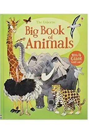 Big Book Of Animals 700