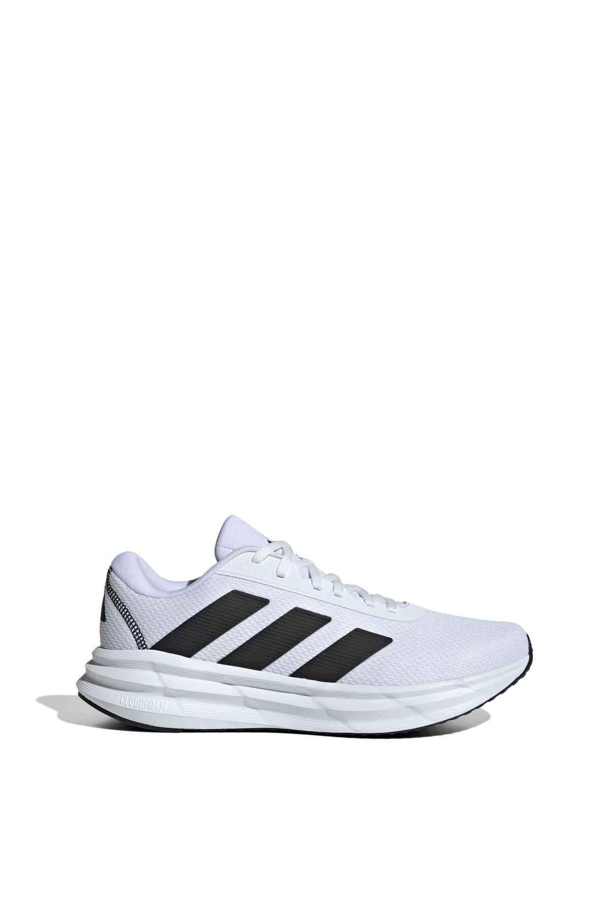 1_org_zoom.jpg