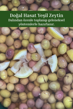 ALTIN GIDA 45 1 KG Yeşil Kırma Zeytin (Edremit - 1 Numara)