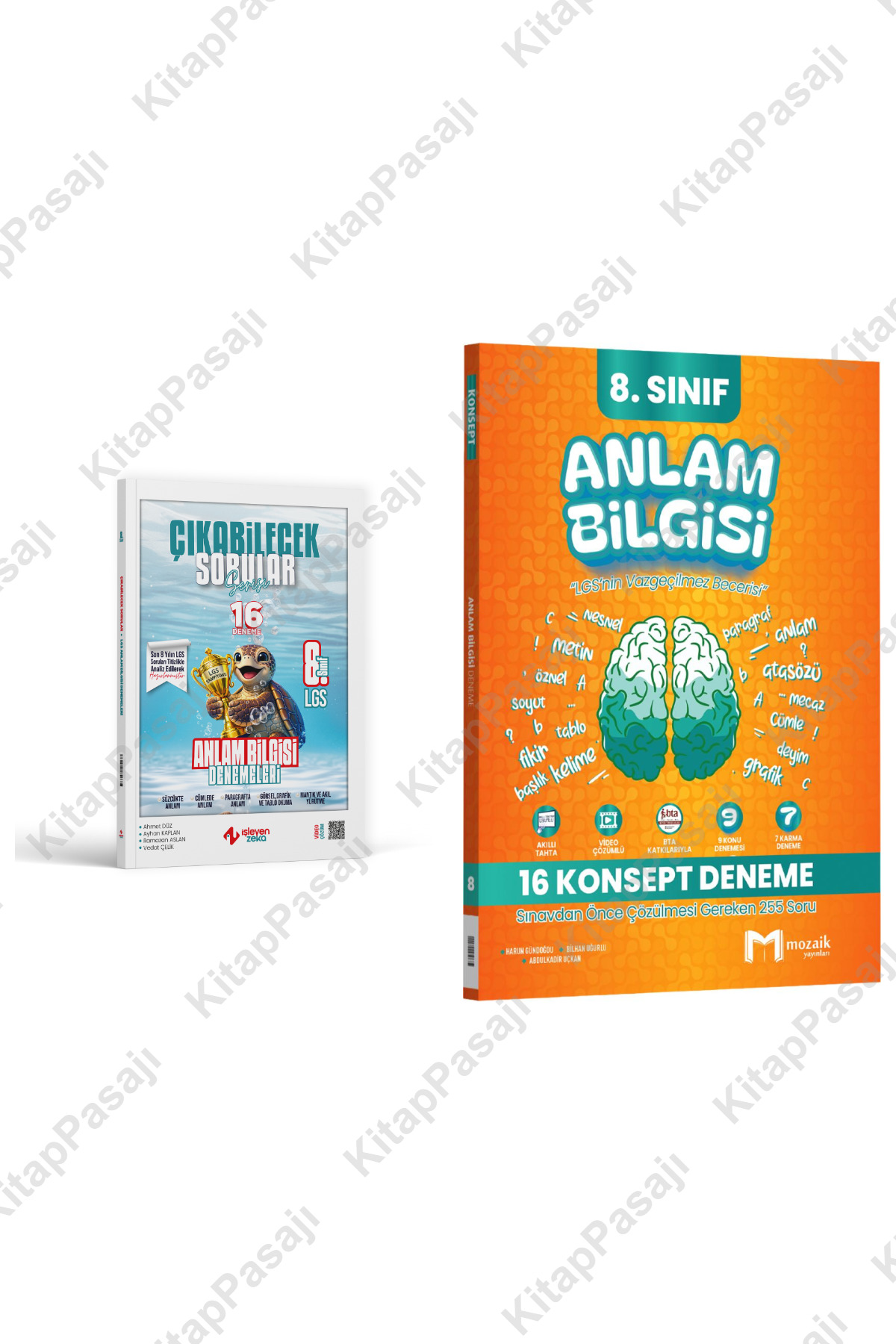 Mozaik Yayınları ve İşleyen Zeka 8. Sınıf LGS Anlam Bilgisi Deneme