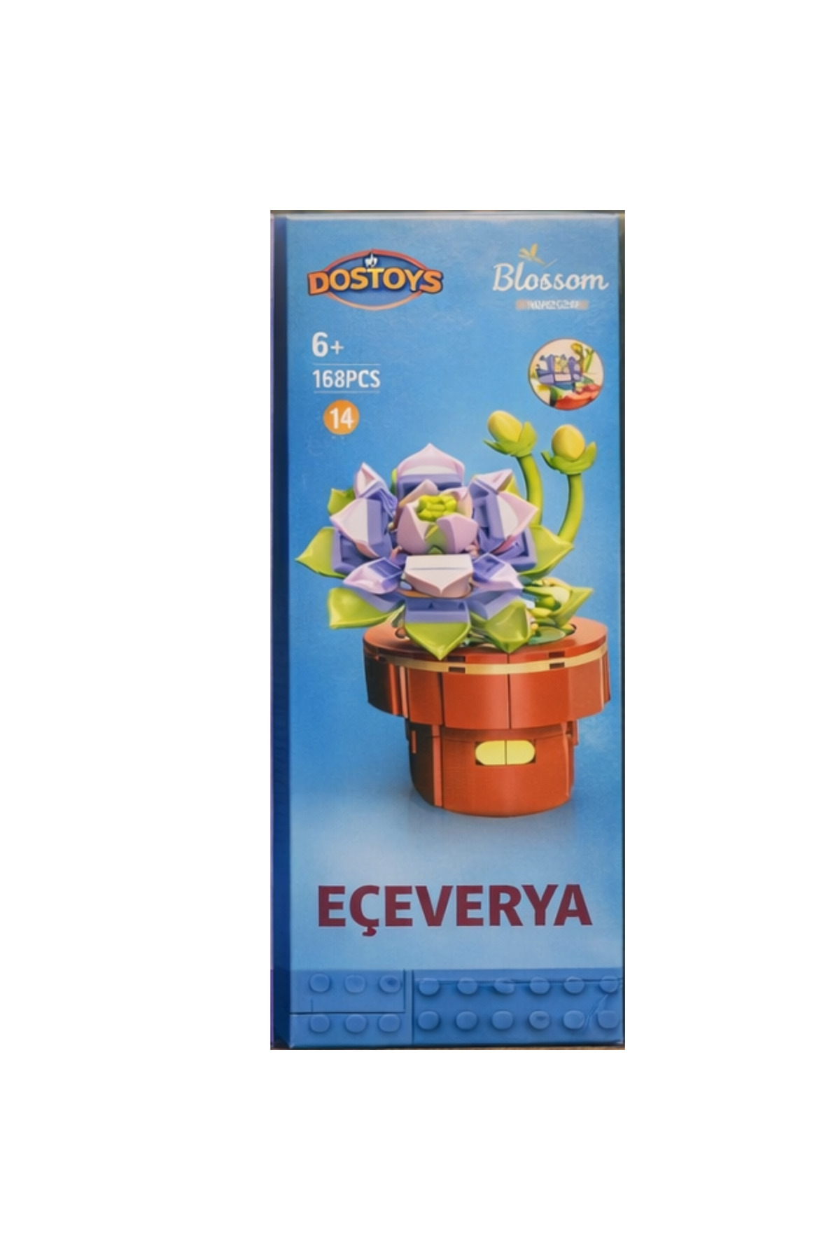 DOSTOYS Yapı Bloklu Eçeverya Sukulent – DIY Çiçek Seti, Masaüstü Dekoratif Hobi fotoğrafı 3 (önizleme)