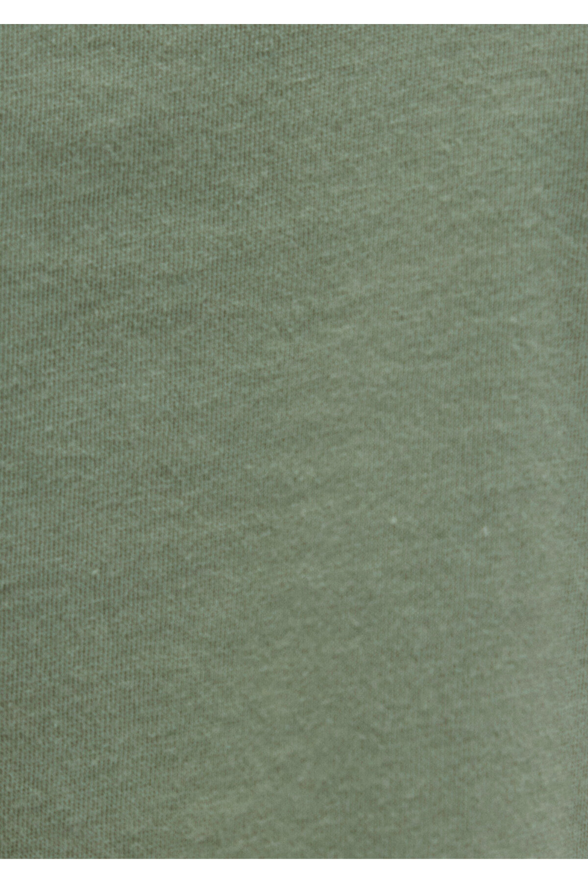 Mavi  Logo Baskılı Yeşil Tişört Regular Fit / Normal Kesim 1611594-81976 - Görsel 8