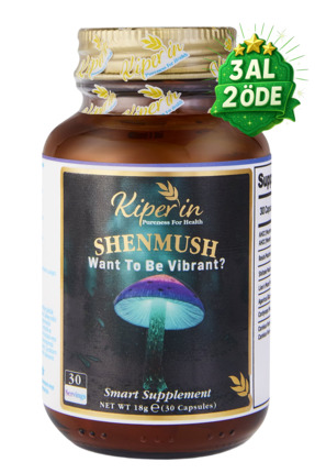 Kiperin Shenmush | Mushroom Complex | AHCC, Reishi, Shiitake, Lions's Mane, A...