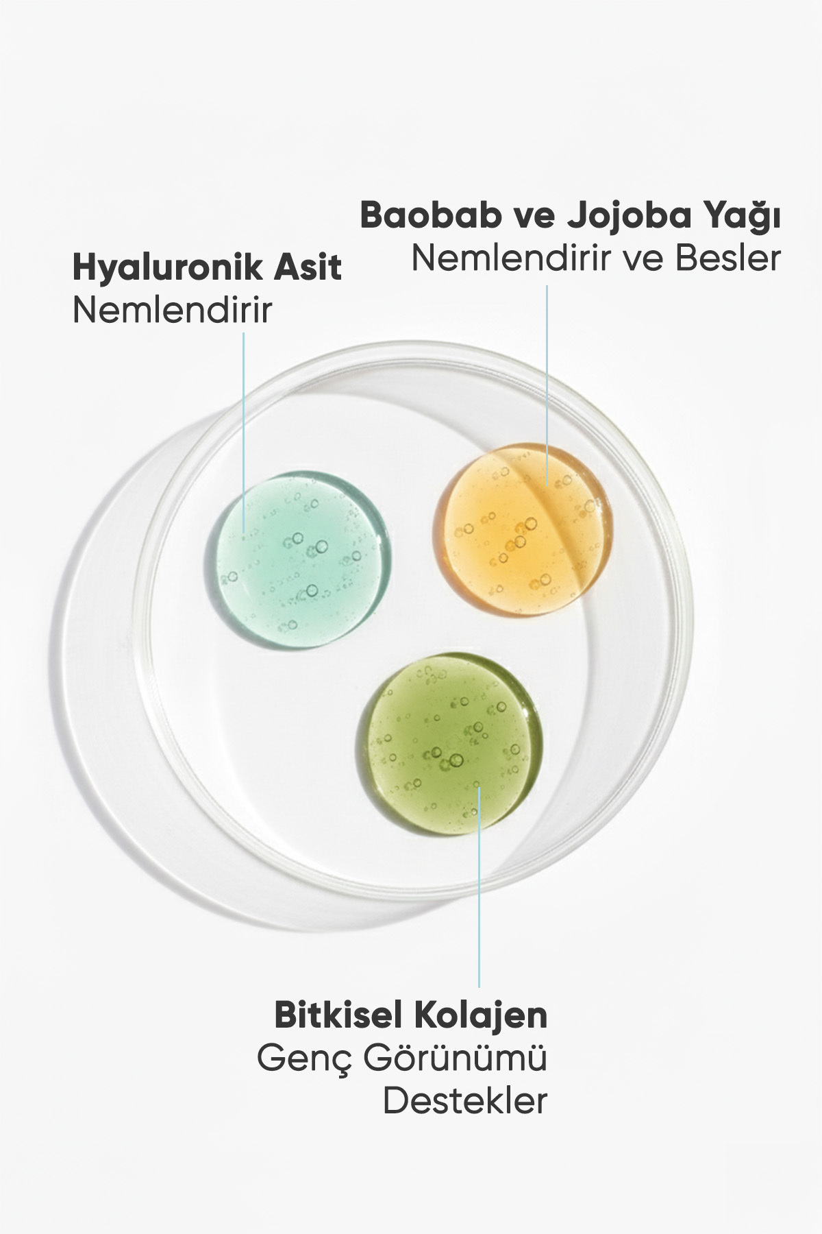 Su Bazlı Yoğun Nemlendirici Yüz Kremi 100 ML X2 Adet — 204 — تصویر 3 از 6