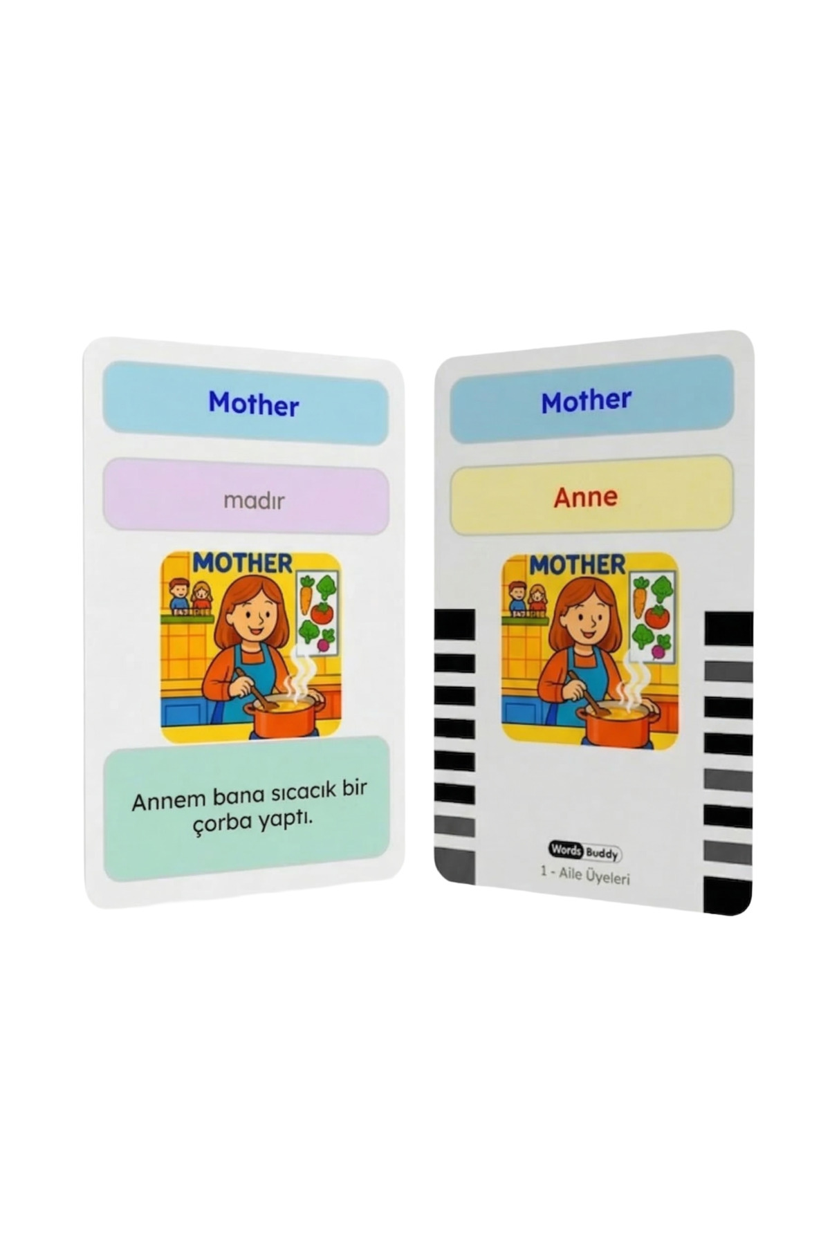 Bigibuddy İngilizce Türkçe Eğitici Sesli Kelime Kartı WordsBuddy Aile Üyeleri 01 (BigiOne Uyumlu) fotoğrafı 4 (önizleme)
