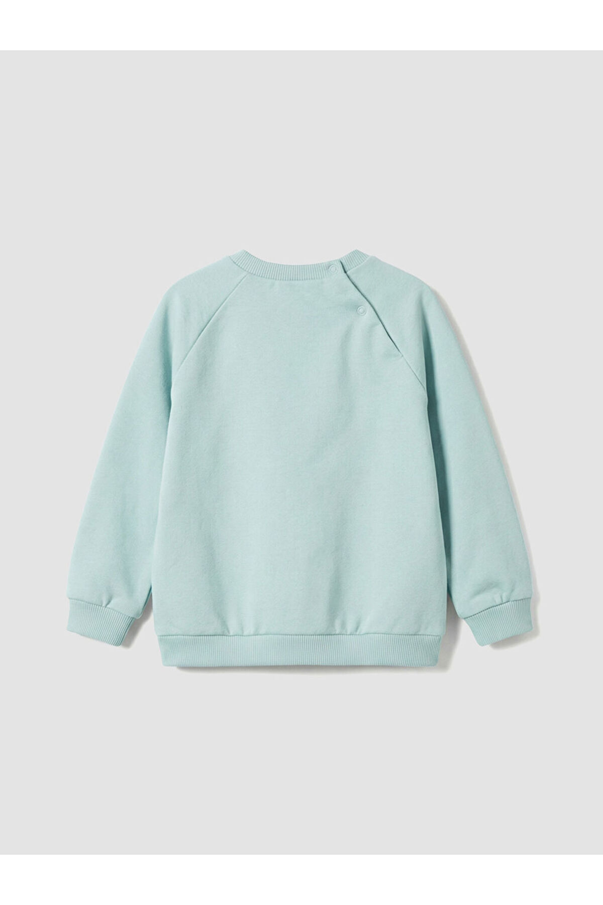 LC Waikiki Yeşil Bisiklet Yaka Baskılı Erkek Bebek Sweatshirt fotoğrafı 2 (önizleme)