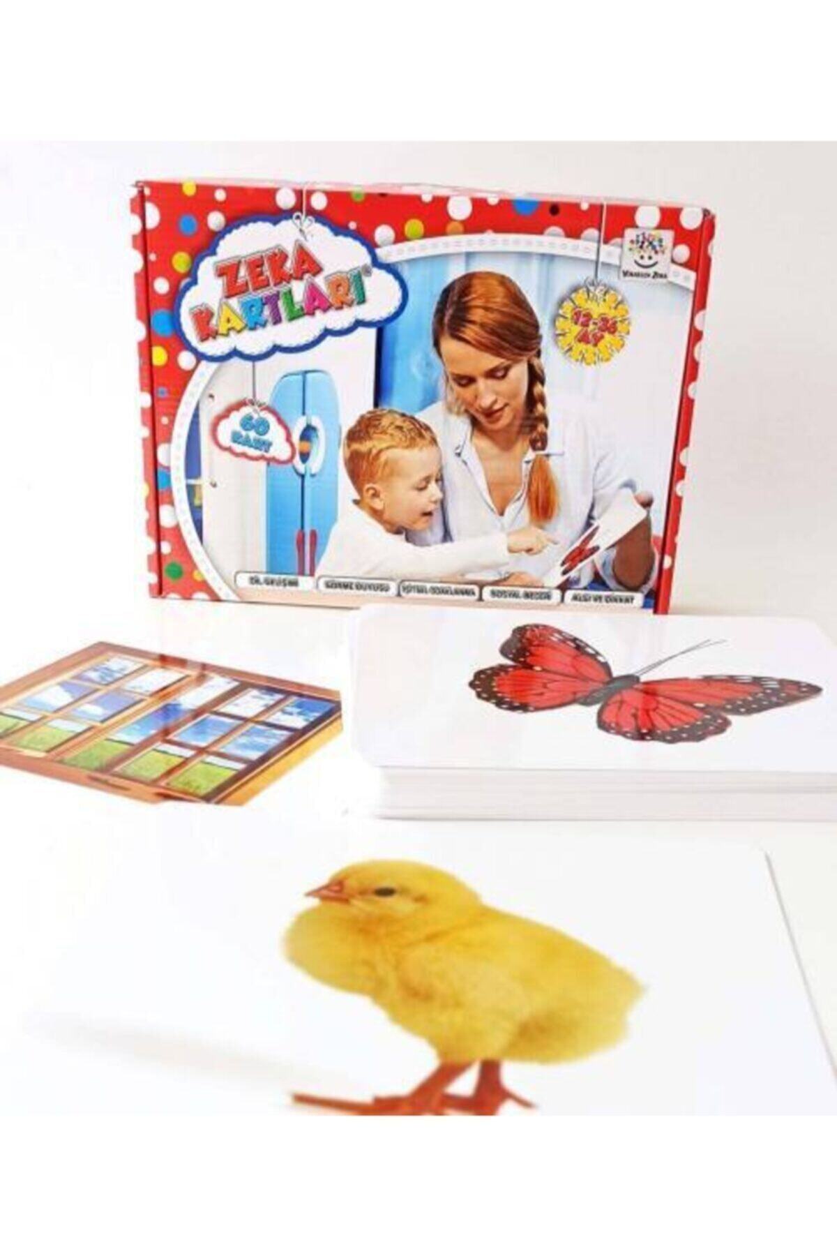 FeyzaDesign Bebek Zeka Kavram Etkinlik Kartları 12-36 Ay - Eğitici Oyun fotoğrafı 2 (önizleme)