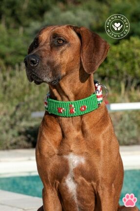 Chic Shoppine Köpek&Kedi Kolyesi El Yapımı