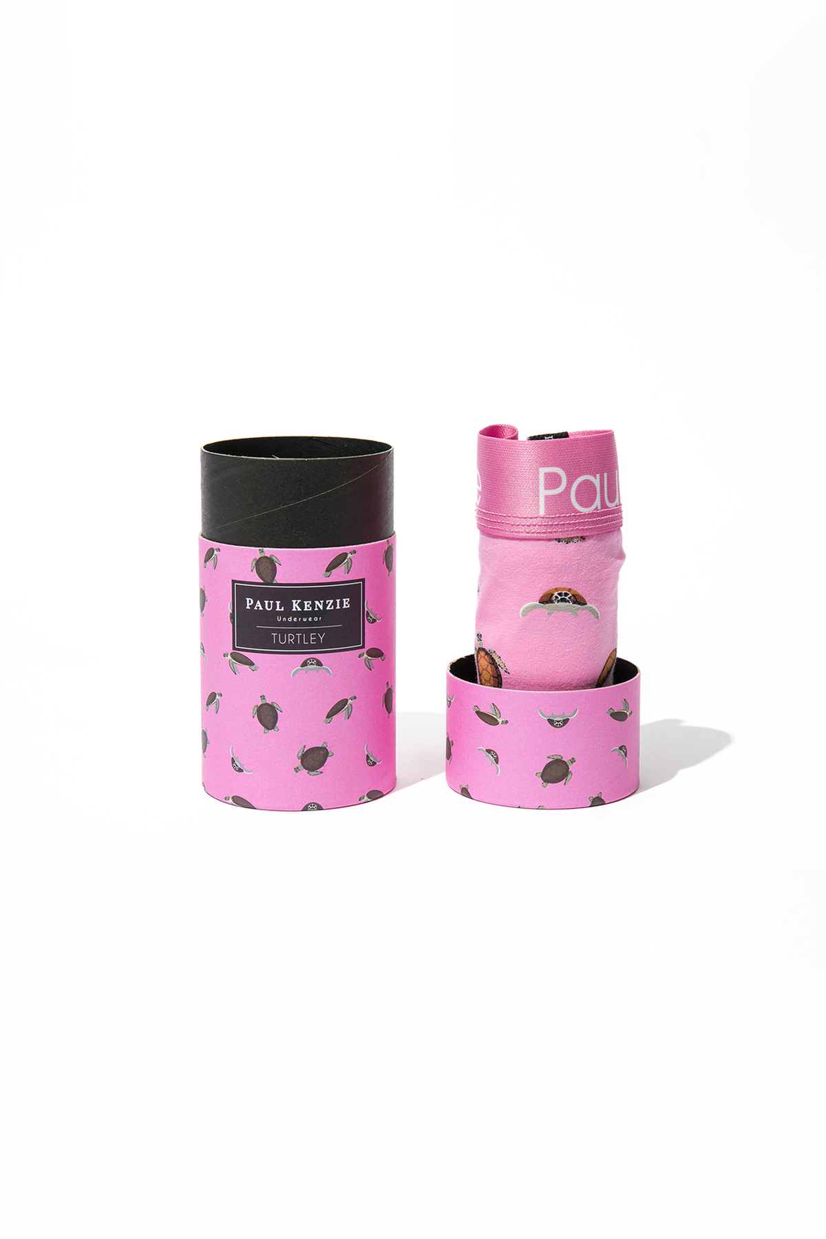 Paul Kenzie Erkek Boxer - Eco Characters - Turtley
