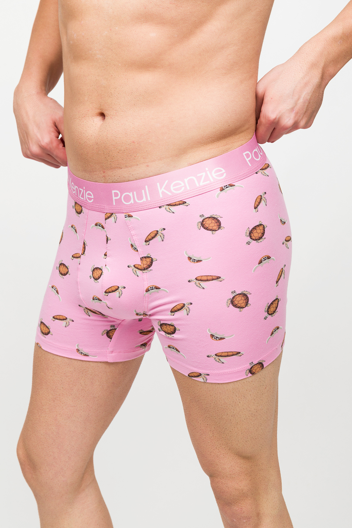 Paul Kenzie Erkek Boxer - Eco Characters - Turtley görsel 5